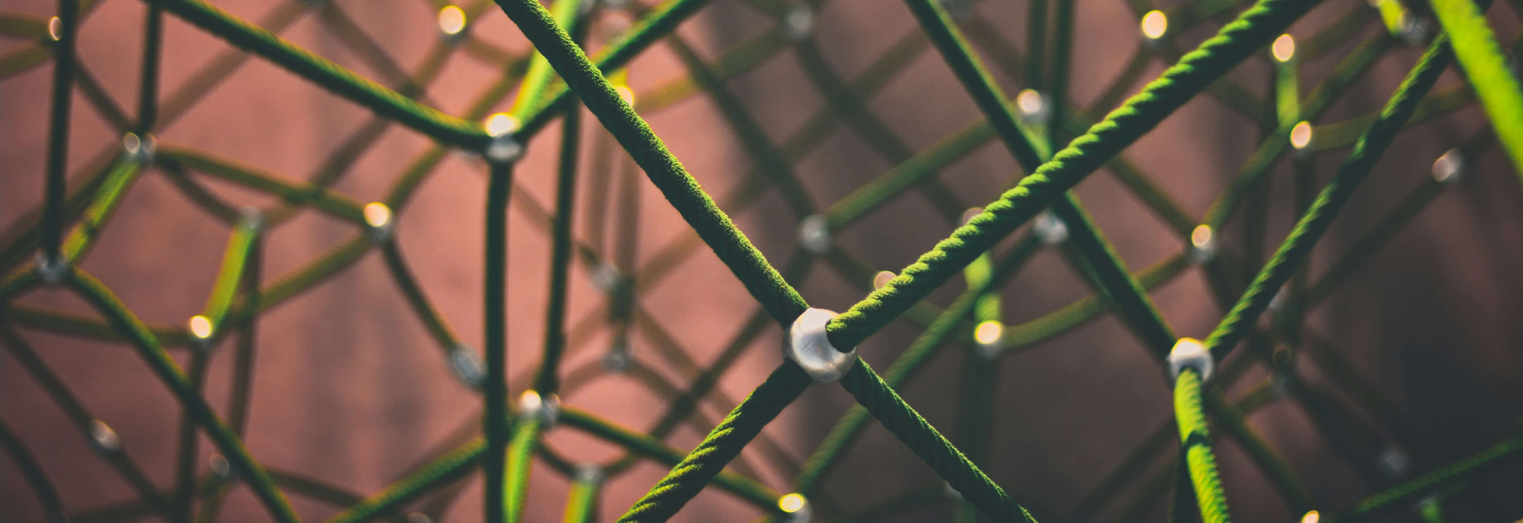 Cover image of a network of ropes connected to each other.